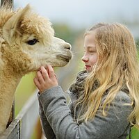 Mit der Fachstelle Familienpastoral unterwegs