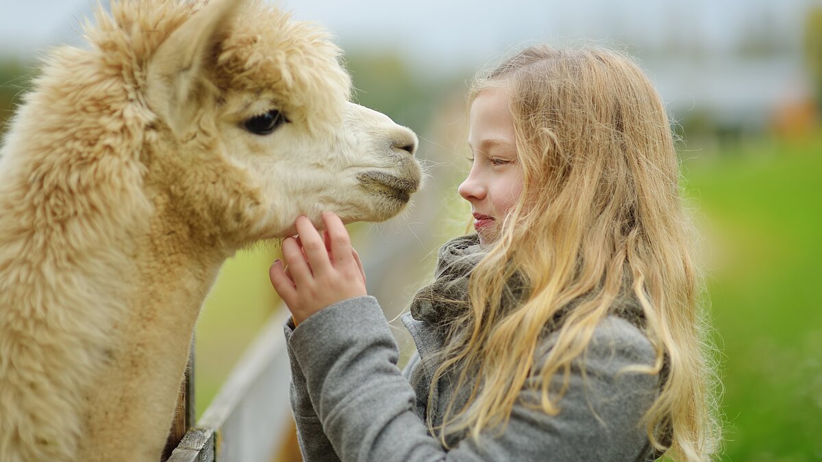 Mit der Fachstelle Familienpastoral unterwegs